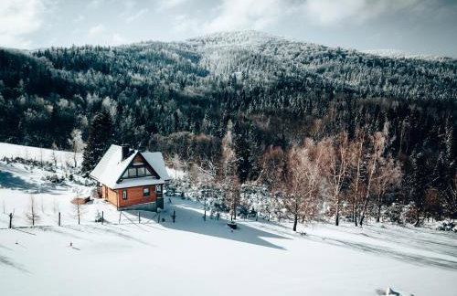 Na Jeżynowej Polanie z gorącą balia - Foto 62