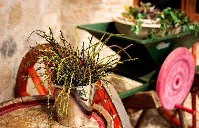 Al Regio Tratturo - Foto 40