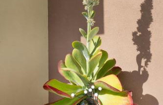 Casa BI LA - Foto 45