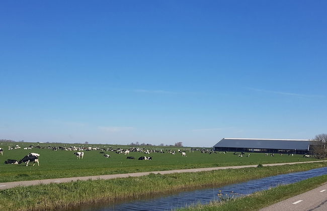 Holiday Home Tuitjenhorn Near Coast - Foto 31