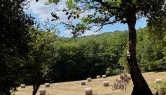Domaine de Cantegrel - Gîtes de Charme et Suite Troglodyte en Périgord - Foto 5, Garden