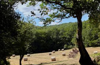 Domaine de Cantegrel - Gîtes de Charme et Suite Troglodyte en Périgord - Foto 5