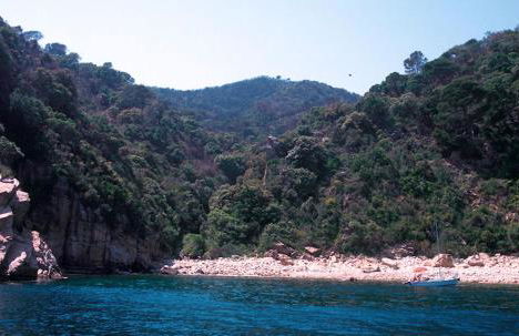 Nuevo Luminoso Apartamento Catalina a 80 metros de la playa para 4 personas - Foto 79