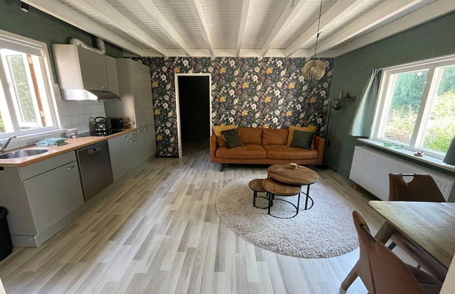 Holiday Home in Schoonloo With Balcony/terrace - Foto 63