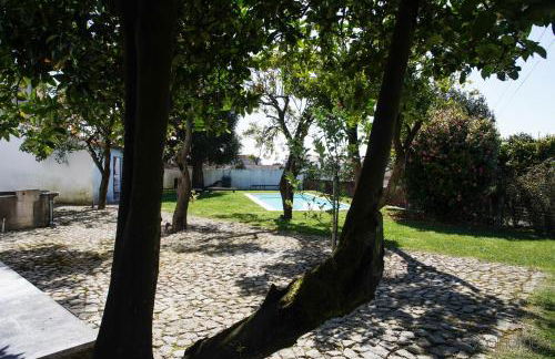 12 Casa d'Avó - Foto 10