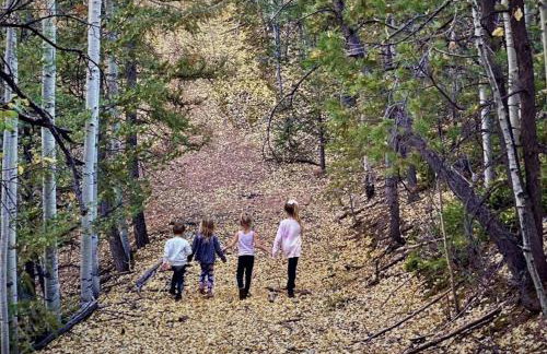Aspen Grove Lodge - Photo 39
