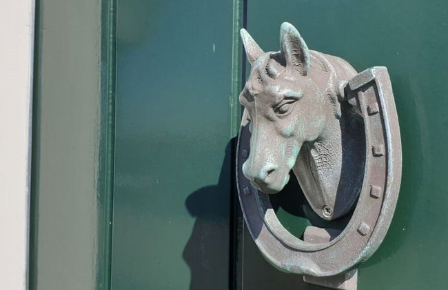 Holiday Home in Texel Near Sandy Beaches - Foto 4