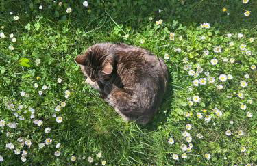 Appartamento Riflessi D'Acqua - Foto 15