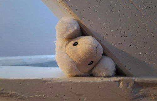 Das Koogsbauernhaus - Foto 73