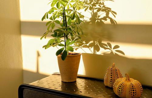 Designer Penthouse with City Views - Foto 15