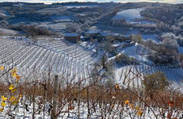 Agriturismo La Ruota - Foto 8