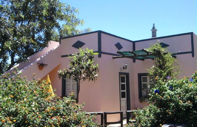 Casa Adega - Quinta Amoreira - Foto 37