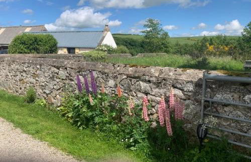 Deveron Valley Cottages - Foto 120