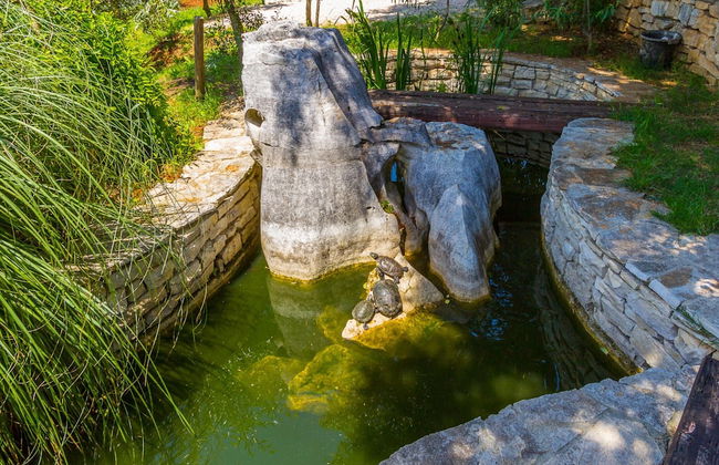 Modern Apartment in Pula With Swimming Pool - Foto 44