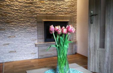 Agroturystyka u Bartka - Foto 15