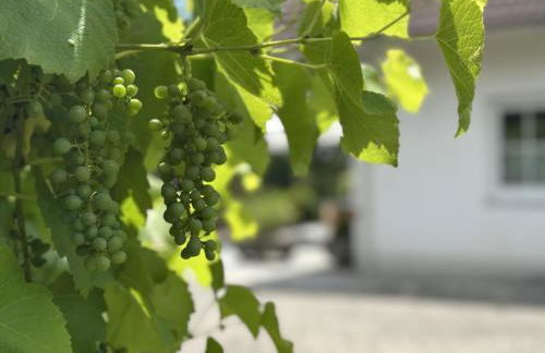 Zellner II - Foto 22