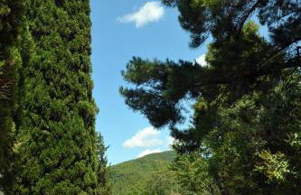 La Colonica - Foto 6