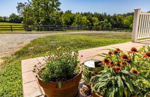 Farm living at it's best! - Foto 52