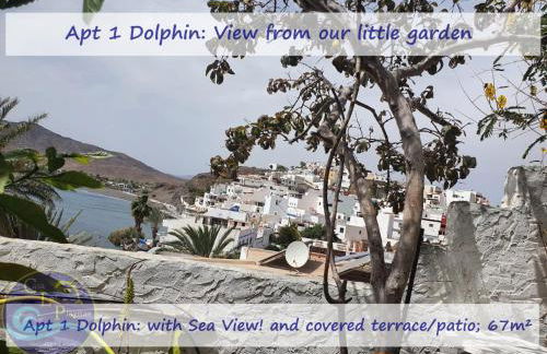 CASA LAS PLAYITAS -CLP- BEST SEA VIEW - In 1 Minute Ocean - Photo 13