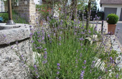 Zum Stadlbauern - Foto 28