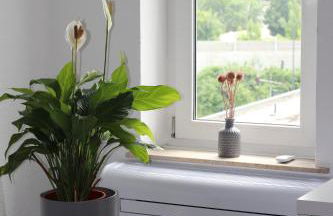 Modernes, zentrales Apartment in Troisdorf, Region Köln Bonn, 3 Etage, maximal für 4 Personen, Parkplatz & Netflix inklusive - Foto 8