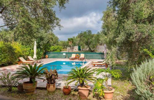 Olive Tree Villa - Photo 15