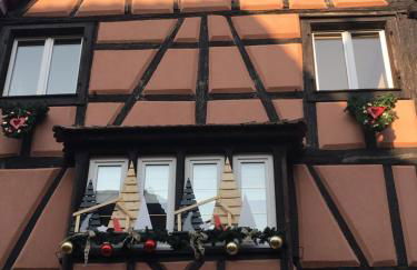 Gite Edelweiss à Eguisheim - Foto 48