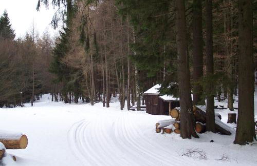 Fewo Wilke - Foto 12