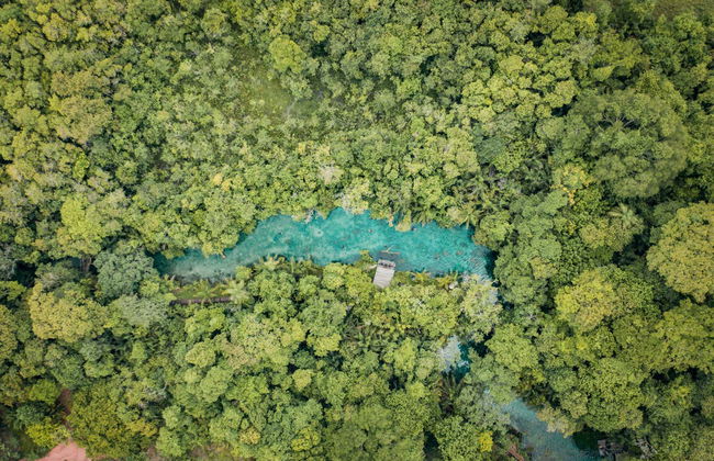 Snorkeling dans la rivière Bonito - Foto 3