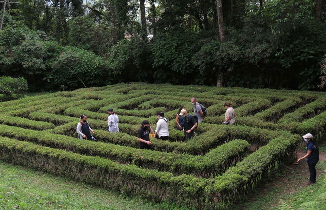 Quindío Botanical Garden Tour - Photo 7