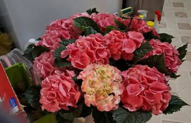 Beautiful Beach Boutique - Foto 13