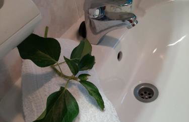 Apartments Mladinić - Foto 17