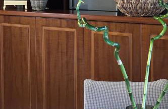 House by the Mountain - Photo 7