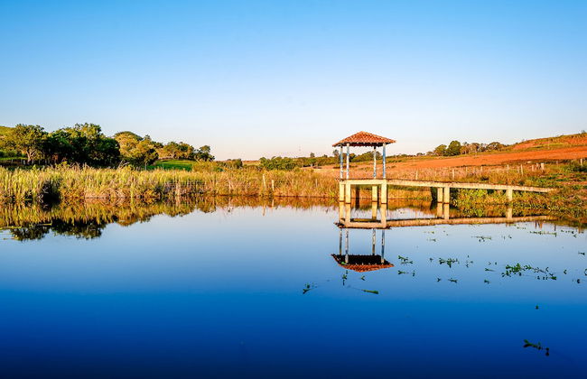 Sítio com piscina e lagoa particular - Photo 59