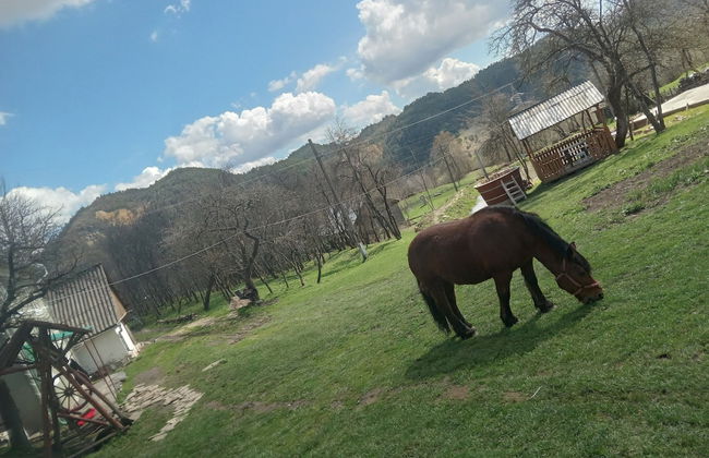 Room in Guest Room - Idylic Family Sejour With Hottube in Green Land - Photo 32