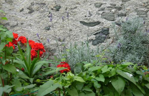 Martorey CIR 10 - Foto 27