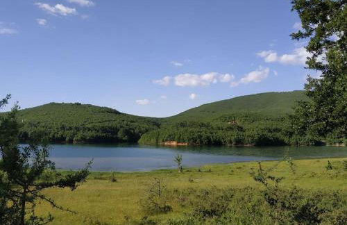 Eftychia’s home-Σπίτι με θέα τη λίμνη Πλαστήρα - Photo 32