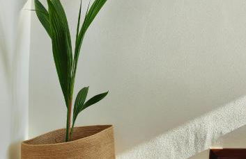 Appartamento Con Vista Mozzafiato - Foto 14