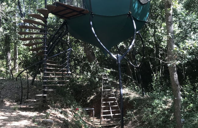 Domaine de la Tuilière - Foto 3