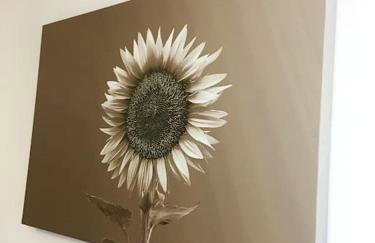 Modern Apartment with Stunning Sea View - Foto 13