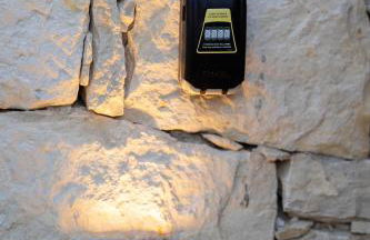 Pure Nature - Photo 44