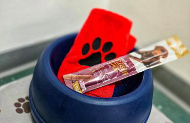 Ferienwohnungen Dorfliebe Dörnberg - Photo 64