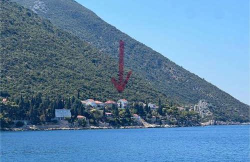 Studio Mira - Foto 20