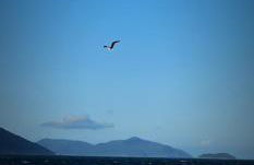 Lugar Aconchecante - Foto 25