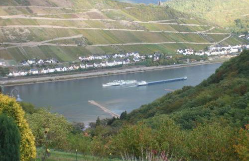 Schau-Rhein#1 - On top of Bacharach, Rhineview - Photo 37
