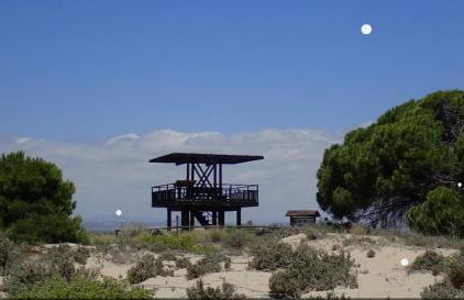 Green Oasis - Foto 25