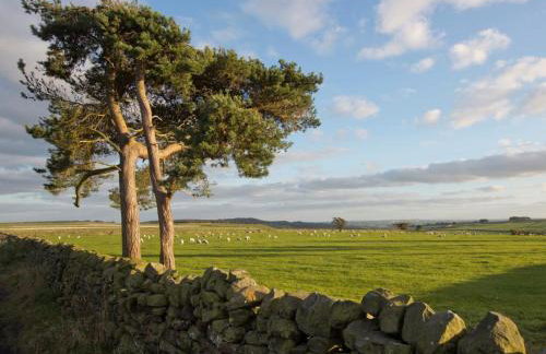 1 Bed in Pateley Bridge oc-g0050 - Photo 33