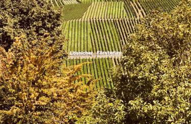 Gut Försterlay - Exklusive Boutique Apartments im historischen Winzerhaus direkt an der Mosel - Foto 72
