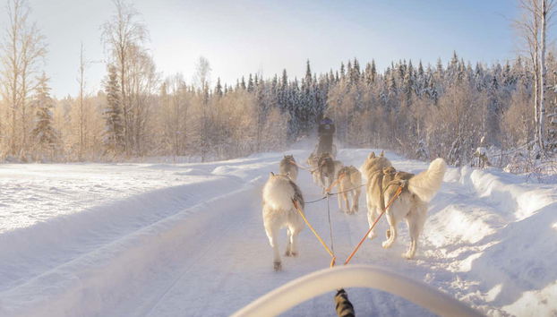 Husky Sleigh Ride - Foto 2