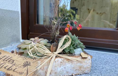 Haflingerstall - Foto 56